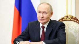 Путин: мессенджеры используют для того, чтобы влиять на молодежь Путин: мессенджеры используют для того, чтобы влиять на молодежь