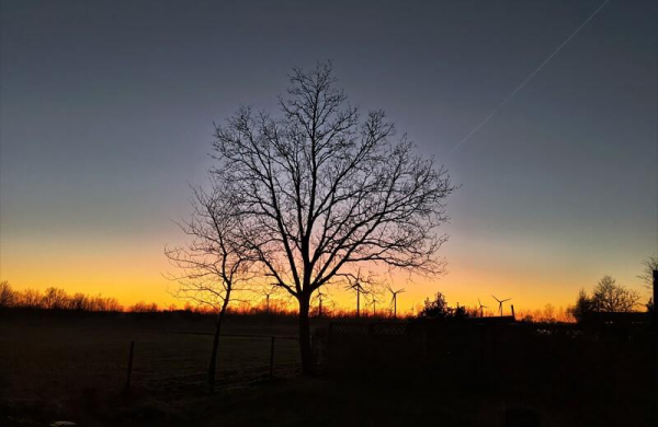 Обзор Motorola Edge 50 Neo: компактного смартфона с защитой военного класса Обзор Motorola Edge 50 Neo: компактного смартфона с защитой военного класса