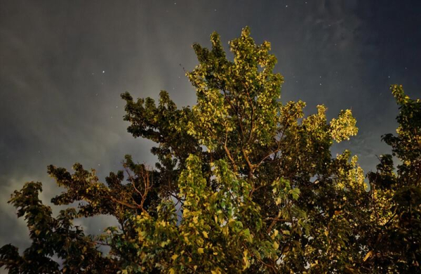 Обзор Samsung Galaxy S25 Edge: ультратонкого флагманского смартфона с проблемами Обзор Samsung Galaxy S25 Edge: ультратонкого флагманского смартфона с проблемами