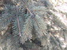 Обзор DOOGEE Y7 2019. Самое главное о смартфоне Обзор DOOGEE Y7 2019. Самое главное о смартфоне