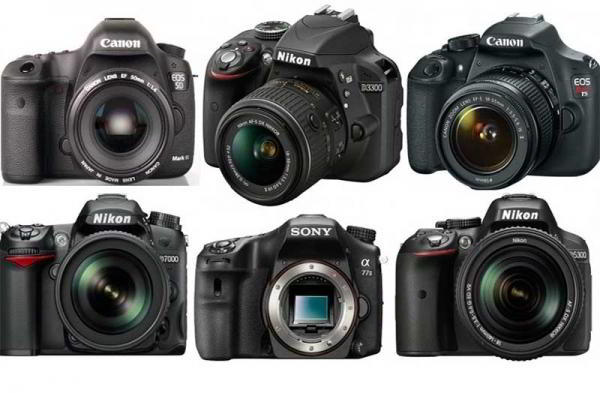 Какую камеру выбрать — зеркальную или беззеркальную? Какую камеру выбрать — зеркальную или беззеркальную?