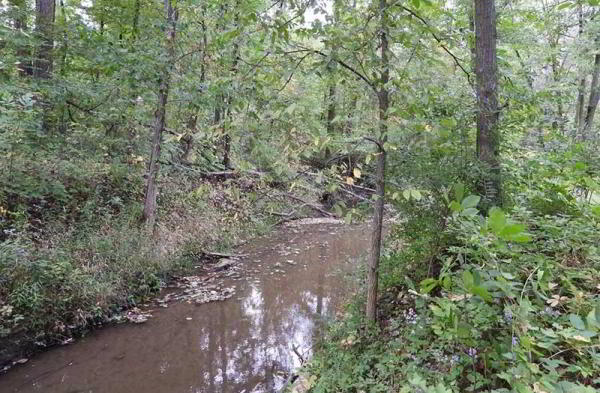 Обзор Nikon Coolpix P1000: камера с 125-кратным оптическим зумом Обзор Nikon Coolpix P1000: камера с 125-кратным оптическим зумом