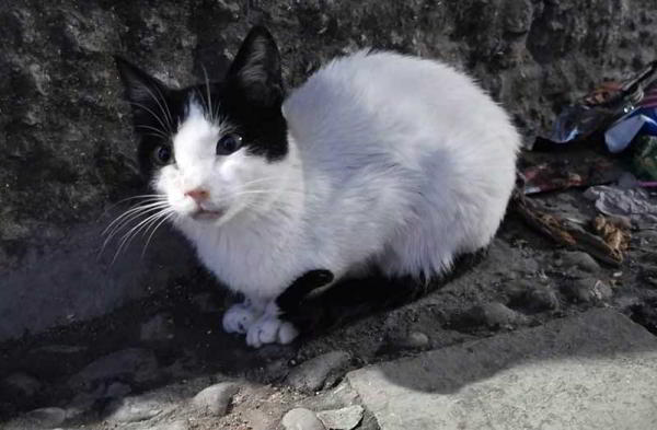 Обзор Huawei P30 Pro: уникальный и удобный камерофон Обзор Huawei P30 Pro: уникальный и удобный камерофон