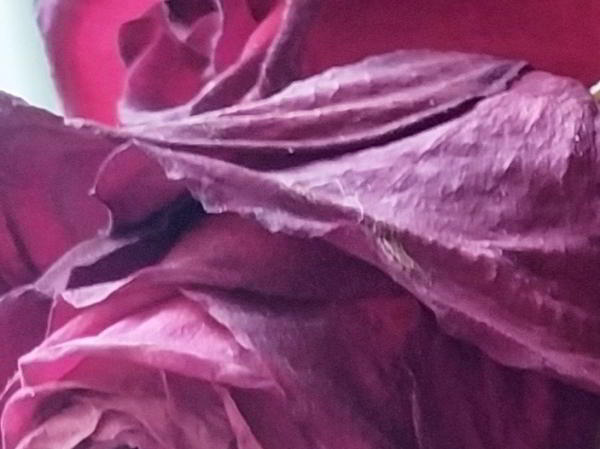 Обзор Redmi Note 7: один из самых совершенных смартфонов среднего класса Обзор Redmi Note 7: один из самых совершенных смартфонов среднего класса