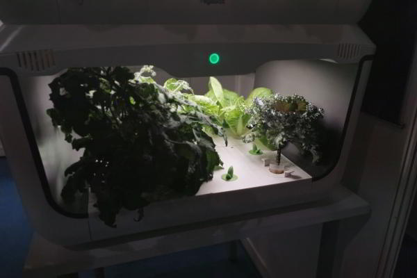 Здесь покупают то, что вы купите завтра Здесь покупают то, что вы купите завтра