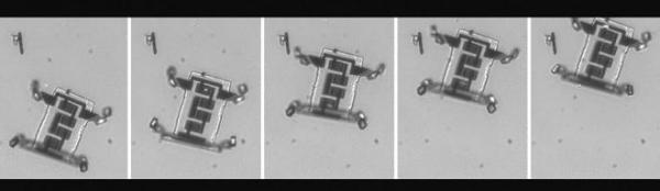 Эти роботы-пауки созданы, чтобы жить внутри нас Эти роботы-пауки созданы, чтобы жить внутри нас