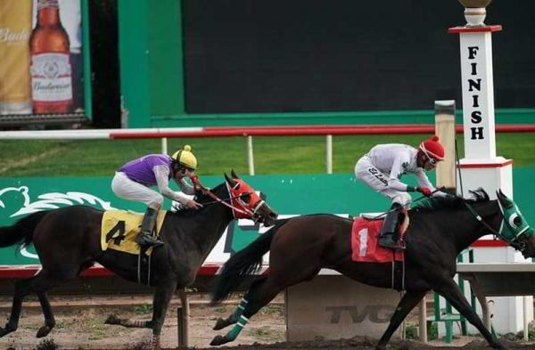 Какую камеру выбрать — зеркальную или беззеркальную? Какую камеру выбрать — зеркальную или беззеркальную?