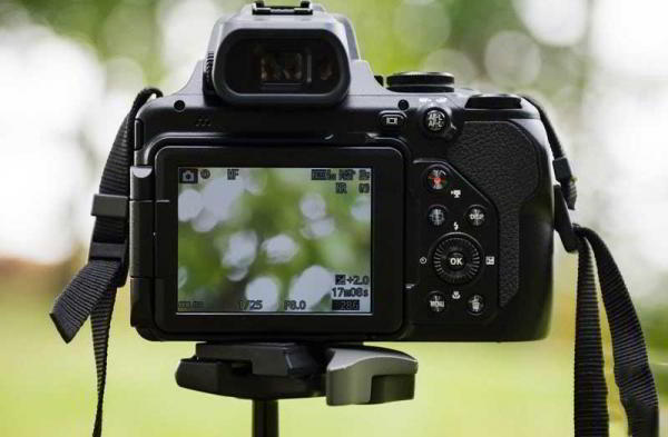 Обзор Nikon Coolpix P1000: камера с 125-кратным оптическим зумом Обзор Nikon Coolpix P1000: камера с 125-кратным оптическим зумом