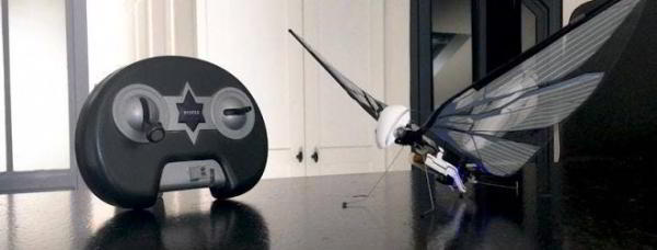 Крылатый робот MetaFly летает, как настоящая бабочка Крылатый робот MetaFly летает, как настоящая бабочка