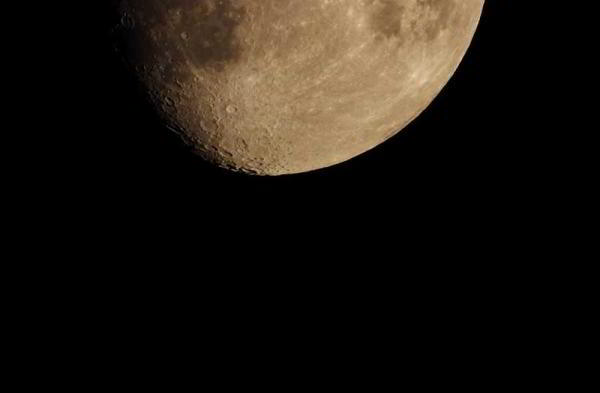 Обзор Nikon Coolpix P1000: камера с 125-кратным оптическим зумом Обзор Nikon Coolpix P1000: камера с 125-кратным оптическим зумом