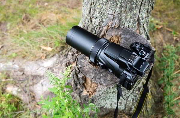 Обзор Nikon Coolpix P1000: камера с 125-кратным оптическим зумом Обзор Nikon Coolpix P1000: камера с 125-кратным оптическим зумом