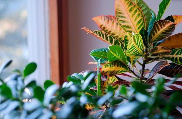 Обзор Fujifilm X-T100: хорошая камера иногда разочаровывает Обзор Fujifilm X-T100: хорошая камера иногда разочаровывает