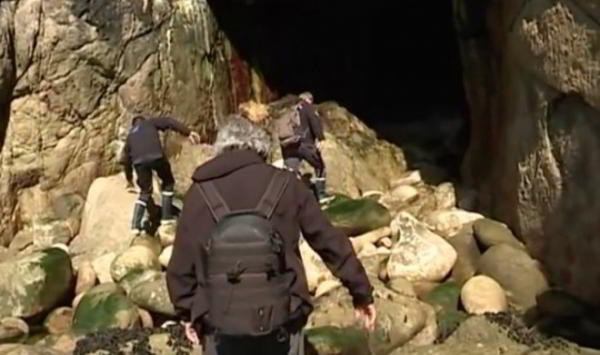 Ученые раскрыли загадку пляжа, где полвека появлялись игрушки в виде кота Гарфилда Ученые раскрыли загадку пляжа, где полвека появлялись игрушки в виде кота Гарфилда