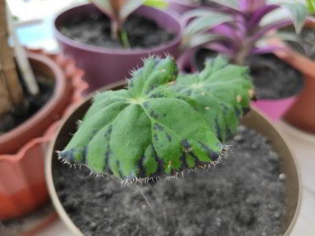 Обзор Xiaomi Mi 9 SE - компактный и немного упрощенный флагман Обзор Xiaomi Mi 9 SE - компактный и немного упрощенный флагман