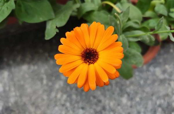 Обзор Xiaomi Redmi Note 7 Pro: отличные компоненты за разумную цену Обзор Xiaomi Redmi Note 7 Pro: отличные компоненты за разумную цену