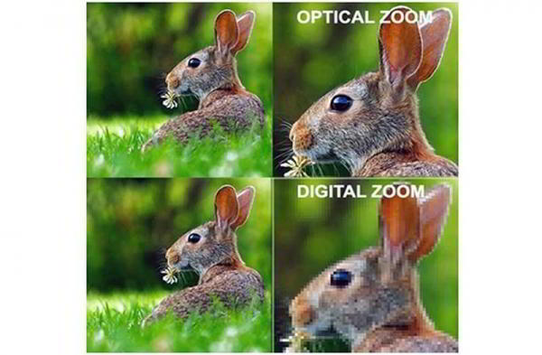 Какую камеру выбрать — зеркальную или беззеркальную? Какую камеру выбрать — зеркальную или беззеркальную?