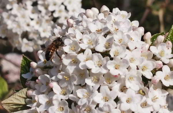 Обзор Huawei P30 Pro: уникальный и удобный камерофон Обзор Huawei P30 Pro: уникальный и удобный камерофон