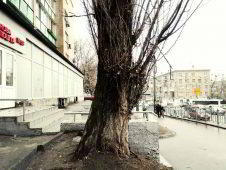 Обзор DOOGEE Y7 2019. Самое главное о смартфоне Обзор DOOGEE Y7 2019. Самое главное о смартфоне