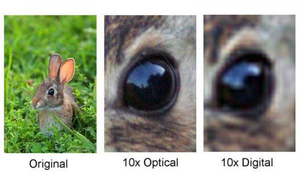 Какую камеру выбрать — зеркальную или беззеркальную? Какую камеру выбрать — зеркальную или беззеркальную?