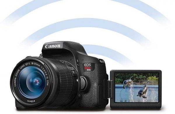 Какую камеру выбрать — зеркальную или беззеркальную? Какую камеру выбрать — зеркальную или беззеркальную?