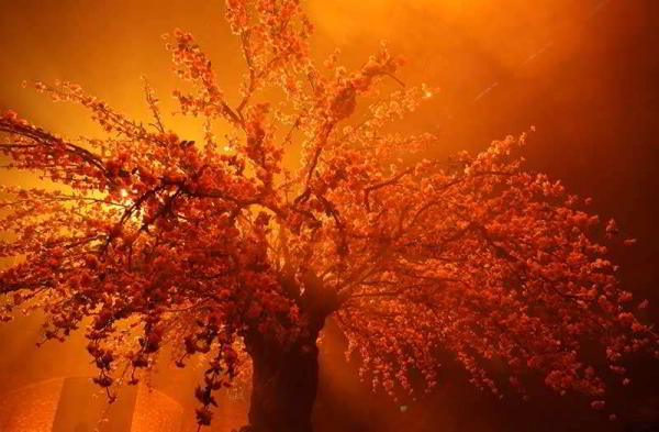 Первый обзор Canon EOS R: полнокадровой беззеркальной камеры Первый обзор Canon EOS R: полнокадровой беззеркальной камеры