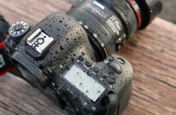 Какую камеру выбрать — зеркальную или беззеркальную? Какую камеру выбрать — зеркальную или беззеркальную?