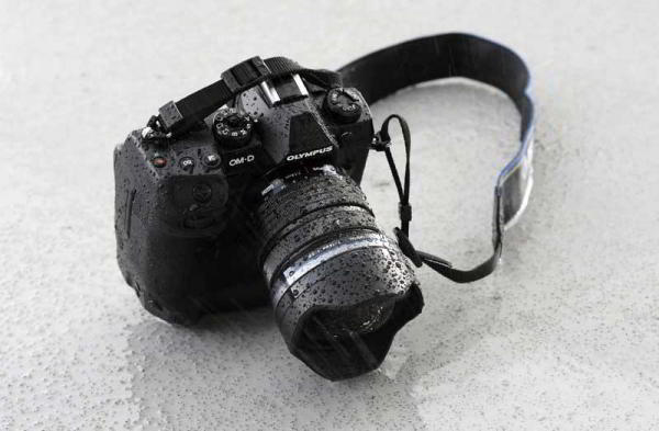 Обзор Olympus OM-D E-M1X: беззеркалка с лучшей стабилизацией Обзор Olympus OM-D E-M1X: беззеркалка с лучшей стабилизацией