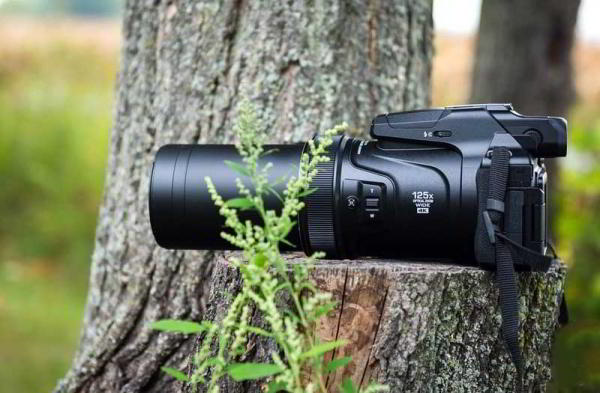 Обзор Nikon Coolpix P1000: камера с 125-кратным оптическим зумом Обзор Nikon Coolpix P1000: камера с 125-кратным оптическим зумом