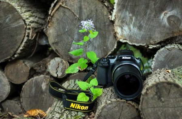 Обзор Nikon Coolpix P1000: камера с 125-кратным оптическим зумом Обзор Nikon Coolpix P1000: камера с 125-кратным оптическим зумом