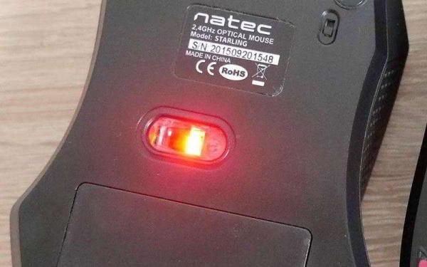 Оптическая или лазерная: какую компьютерную мышь выбрать? Оптическая или лазерная: какую компьютерную мышь выбрать?