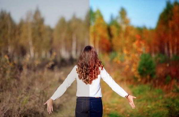 Какую камеру выбрать — зеркальную или беззеркальную? Какую камеру выбрать — зеркальную или беззеркальную?