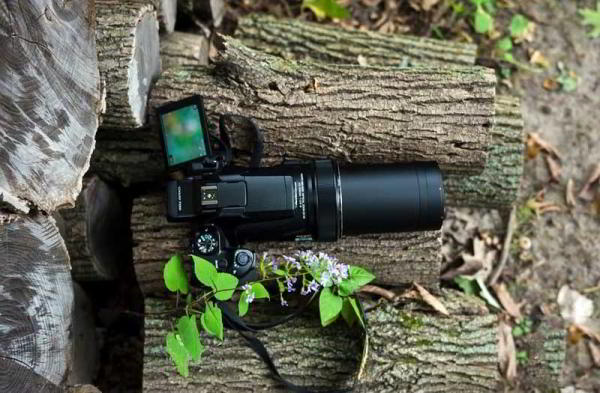 Обзор Nikon Coolpix P1000: камера с 125-кратным оптическим зумом Обзор Nikon Coolpix P1000: камера с 125-кратным оптическим зумом