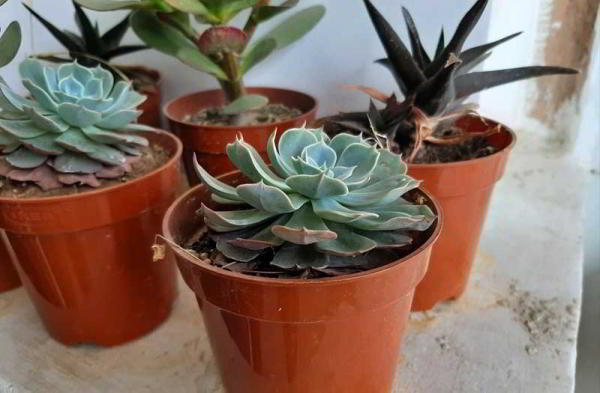 Обзор Samsung Galaxy A50: лучший средний смартфон Samsung Обзор Samsung Galaxy A50: лучший средний смартфон Samsung