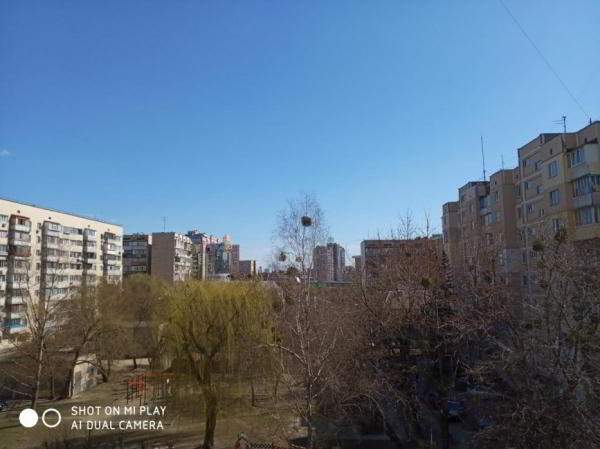 Сравнение Xiaomi Mi Play с Redmi Note 7: Стоит ли переплачивать? Сравнение Xiaomi Mi Play с Redmi Note 7: Стоит ли переплачивать?