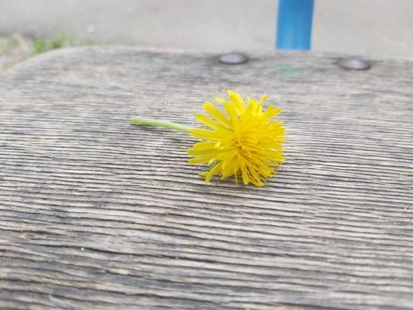 Обзор Samsung Galaxy A70: смартфон с огромным экраном и мощной батареей Обзор Samsung Galaxy A70: смартфон с огромным экраном и мощной батареей