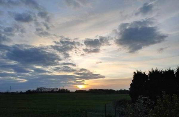 Обзор Oppo Reno: уникальный телефон с выдвижной камерой Обзор Oppo Reno: уникальный телефон с выдвижной камерой