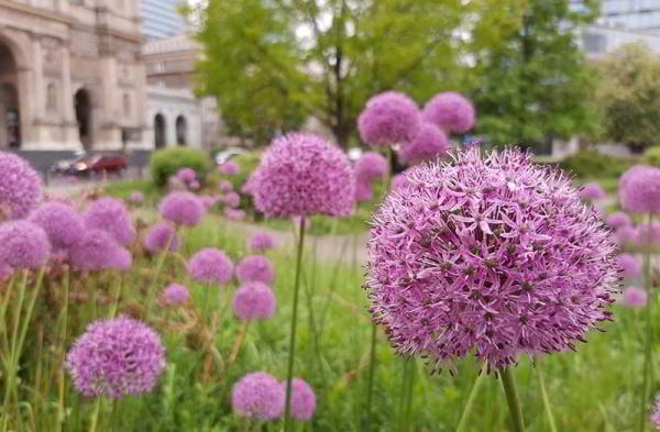 Обзор Motorola One Vision: недорогой телефон с чистым Android Обзор Motorola One Vision: недорогой телефон с чистым Android