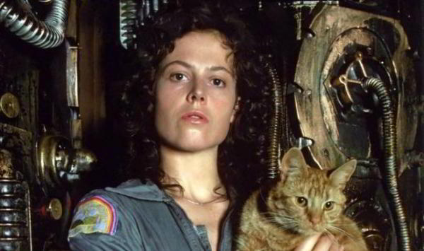 Первым пассажиром космического корабля Crew Dragon стал манекен-астронавт «Рипли» Первым пассажиром космического корабля Crew Dragon стал манекен-астронавт «Рипли»