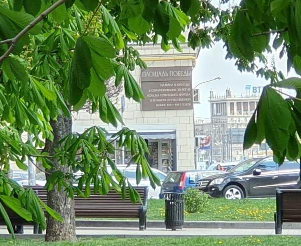 Какой смартфон снимает лучше: фототест для Huawei P30 Pro, Samsung Galaxy S10 и Xiaomi Mi 9 Какой смартфон снимает лучше: фототест для Huawei P30 Pro, Samsung Galaxy S10 и Xiaomi Mi 9