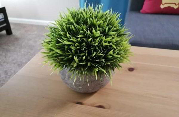 Обзор смартфона Honor Magic 2: яркого слайдера без рамок Обзор смартфона Honor Magic 2: яркого слайдера без рамок