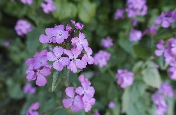 Обзор Fujifilm X-H1: лучшая беззеркальная камера Fujifilm 2018 Обзор Fujifilm X-H1: лучшая беззеркальная камера Fujifilm 2018