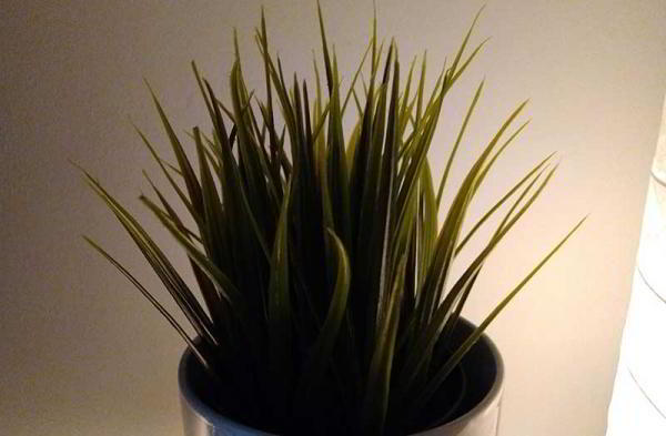 Обзор Asus Zenfone Max Pro M2 обновлённого большого смартфона Обзор Asus Zenfone Max Pro M2 обновлённого большого смартфона