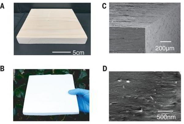 Новая супердревесина прочнее алюминия и титана Новая супердревесина прочнее алюминия и титана