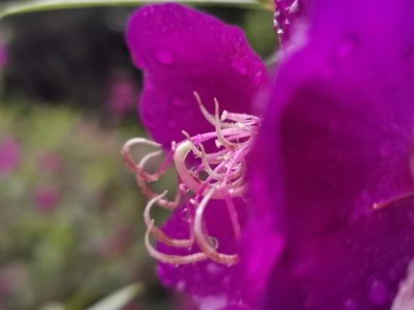 Обзор Huawei P30 Pro: на пути к идеальному смартфону Обзор Huawei P30 Pro: на пути к идеальному смартфону