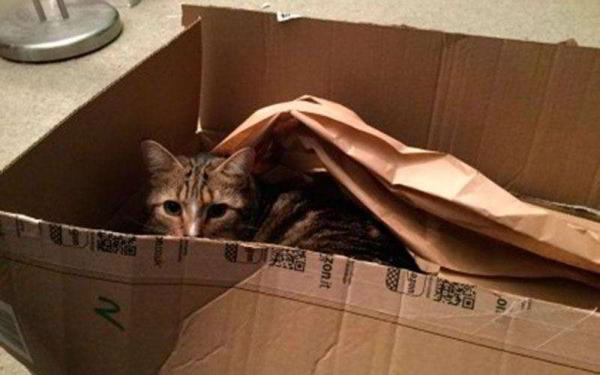 Запоздалый обзор iPad Mini 4 — Планшет стал тоньше, меньше и мощнее Запоздалый обзор iPad Mini 4 — Планшет стал тоньше, меньше и мощнее