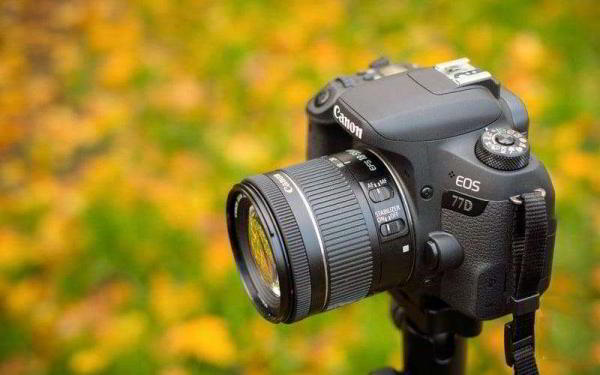 Обзор Canon EOS 77D — Средний ребёнок, которого вы по-прежнему любите Обзор Canon EOS 77D — Средний ребёнок, которого вы по-прежнему любите