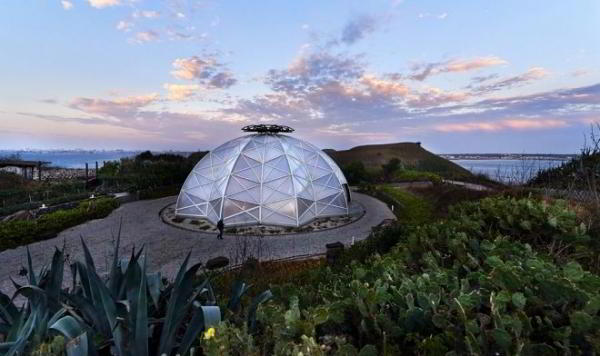 Заброшенную военную базу превратили в уникальный парк кактусов