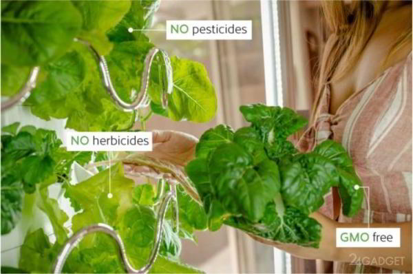 iHarvest – гидропонный домашний сад, вдвое ускоряющий рост овощей (7 фото + видео) iHarvest – гидропонный домашний сад, вдвое ускоряющий рост овощей (7 фото + видео)