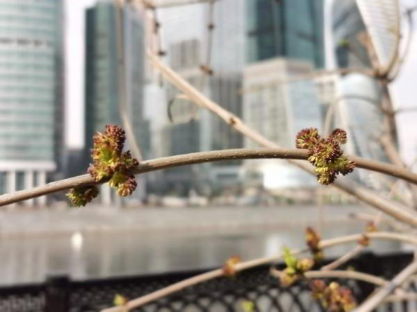 Какой смартфон снимает лучше: фототест для Huawei P30 Pro, Samsung Galaxy S10 и Xiaomi Mi 9 Какой смартфон снимает лучше: фототест для Huawei P30 Pro, Samsung Galaxy S10 и Xiaomi Mi 9