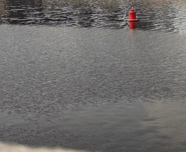 Какой смартфон снимает лучше: фототест для Huawei P30 Pro, Samsung Galaxy S10 и Xiaomi Mi 9 Какой смартфон снимает лучше: фототест для Huawei P30 Pro, Samsung Galaxy S10 и Xiaomi Mi 9